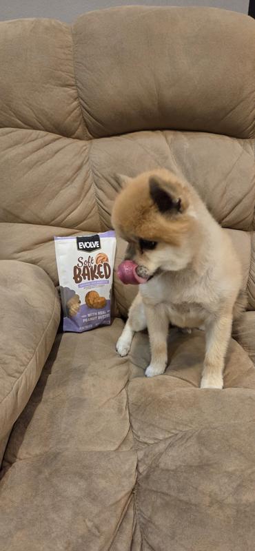 Hauss thinks these treats are tasty