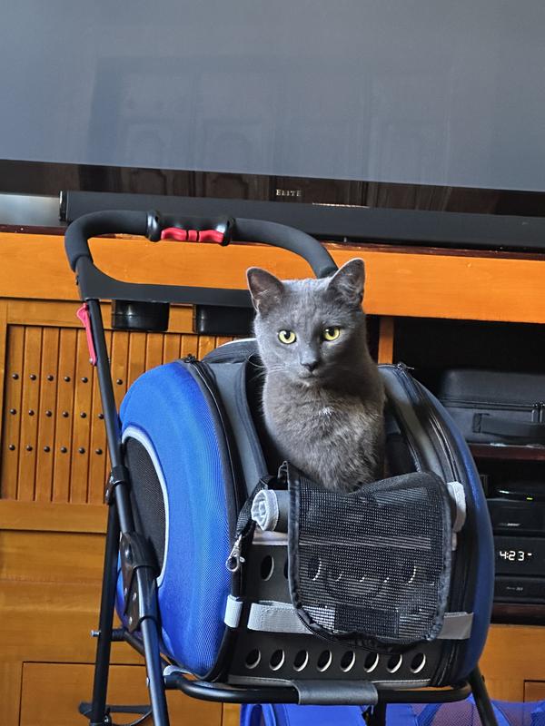 He jumps into it for fun.