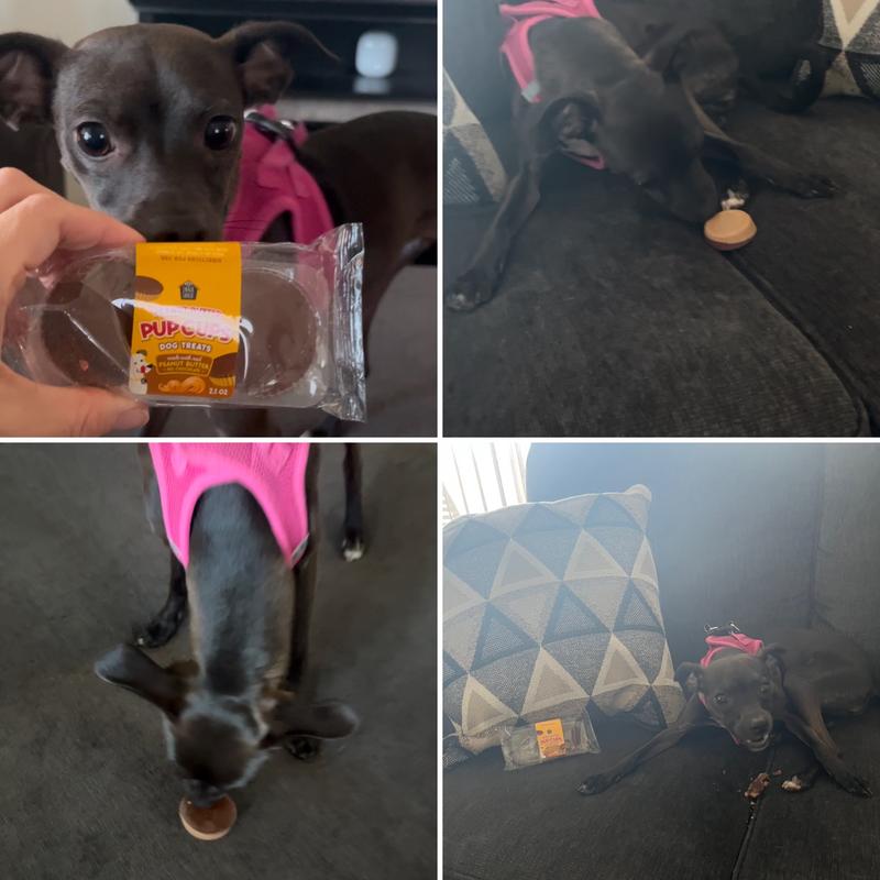 Peanut Butter Pup Cup Treats  super yummy