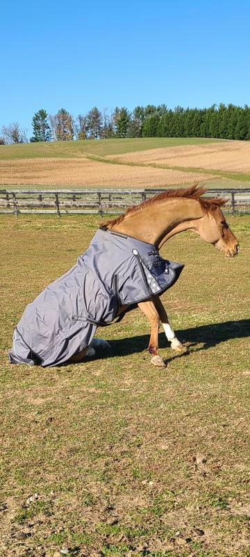 Good roll after getting clipped.