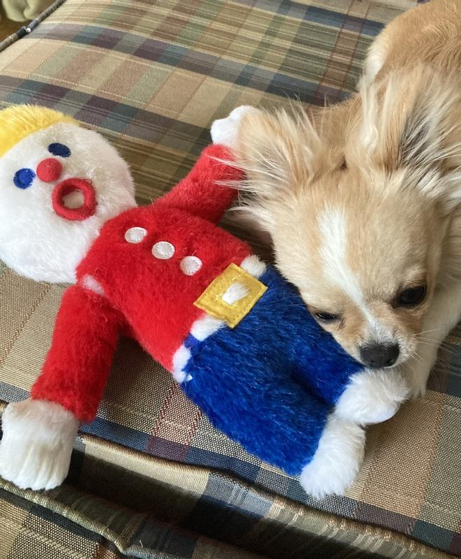 Quinn and Mr. Bill with his ripped arm