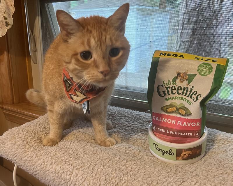 18th Birthday gifts for Tangelo!!