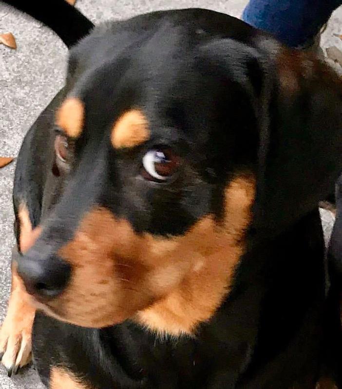 “I saw you split myJerky Bite into smaller bits.