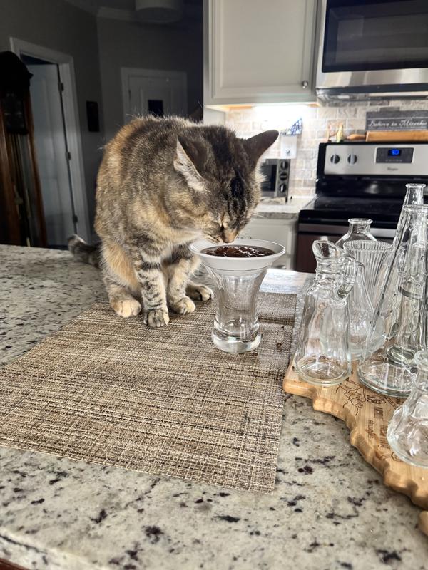 The Diva eating her Poke Bowl