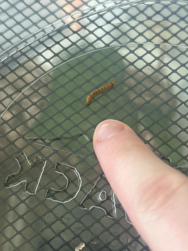 Couple survivors buried in the dead bodies