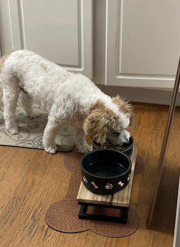 Supplement mixed in well and he eats it!