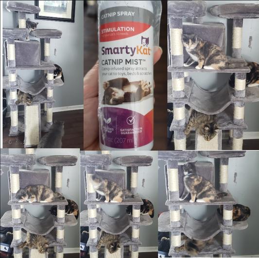 Smartykat catnip hot sale spray