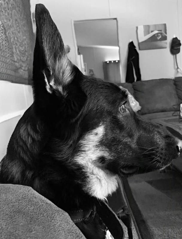 Black and white profile