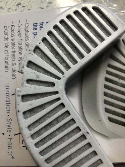 This is how the filter looked straight out of the bag.