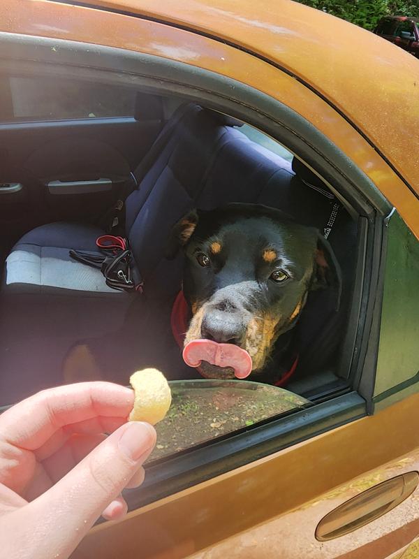 Tasty, crunchy treats!
