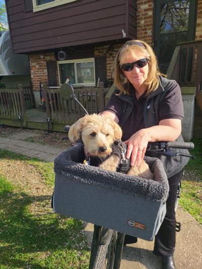 Chewy dog bike discount basket