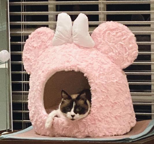 Minnie mouse cat bed sale