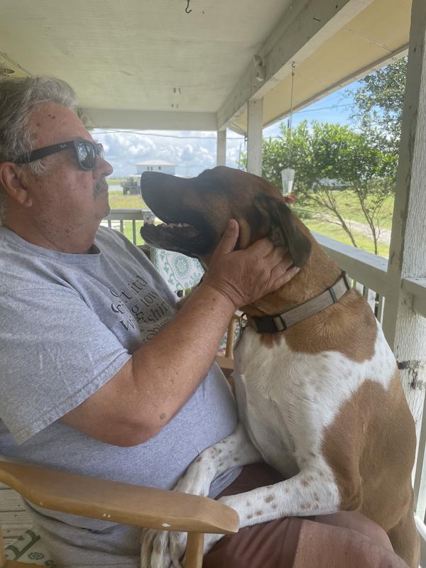 Playful Buddy loving his Dad!