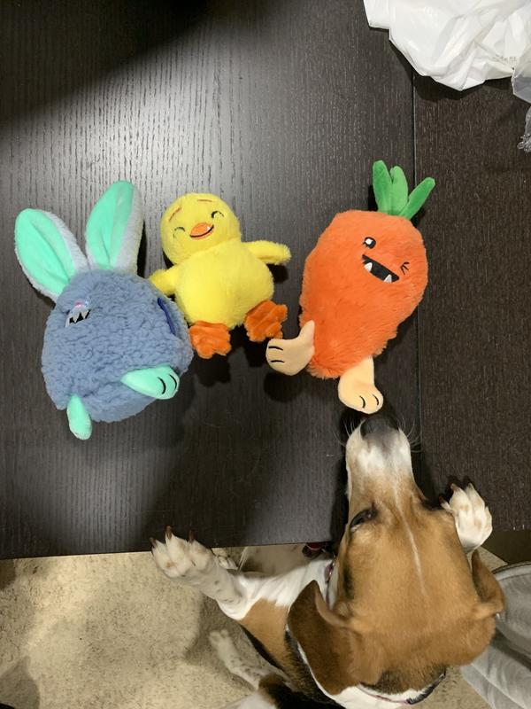 Charlie could not wait