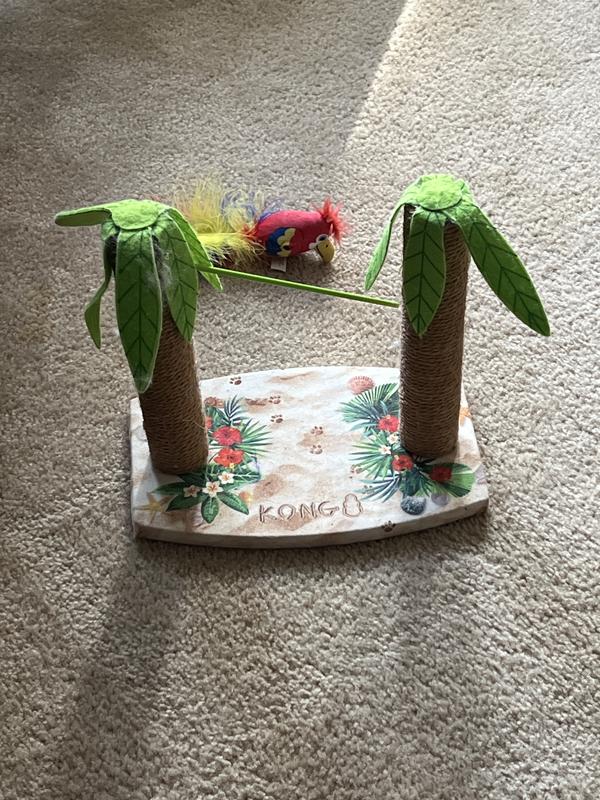 Defective tree trunk hole