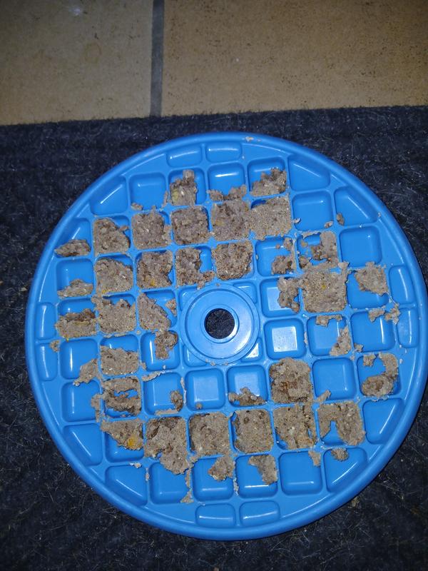 Frozen in slow feeder