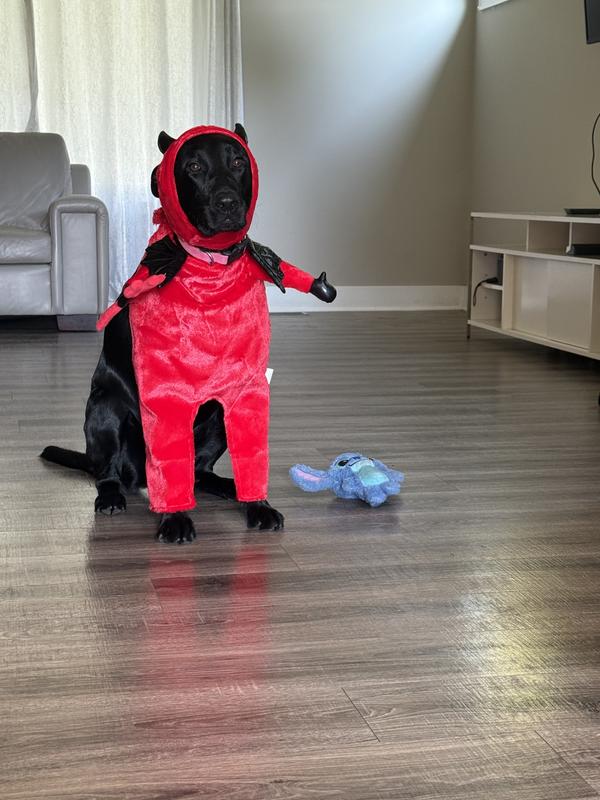 Our little devil