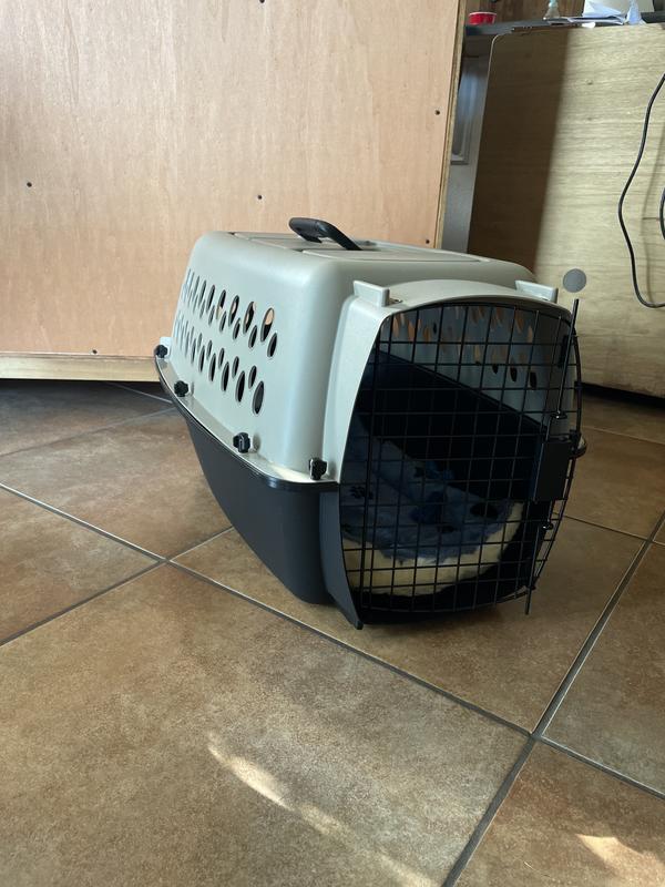 Petmate 2024 kennel cab