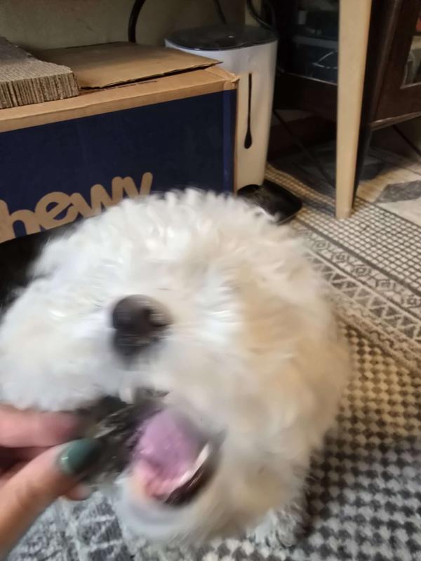 The deliciousness made it all a blur