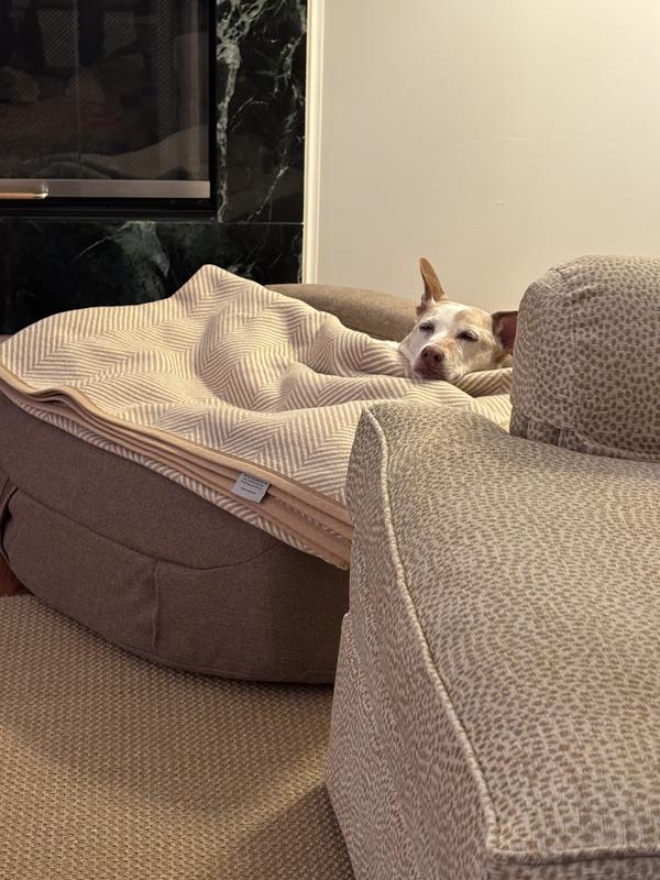 Sleeping beauty.