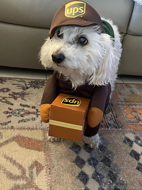 Ups clearance dog outfit