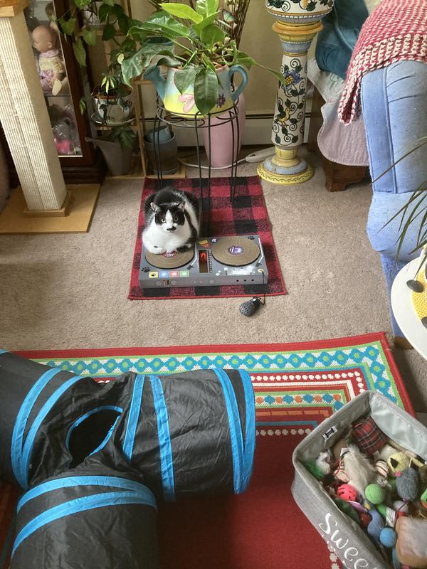 Only time approaching scratch mat