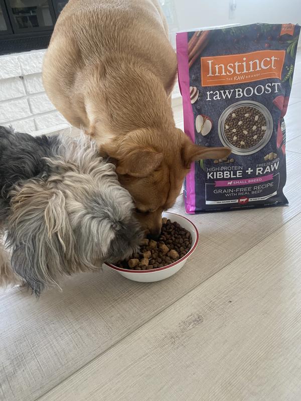 Vito and Zoey approve !