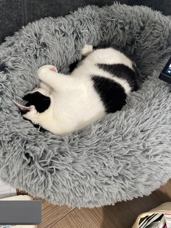 FRISCO Eyelash Cat & Dog Bolster Bed, Sand, Small