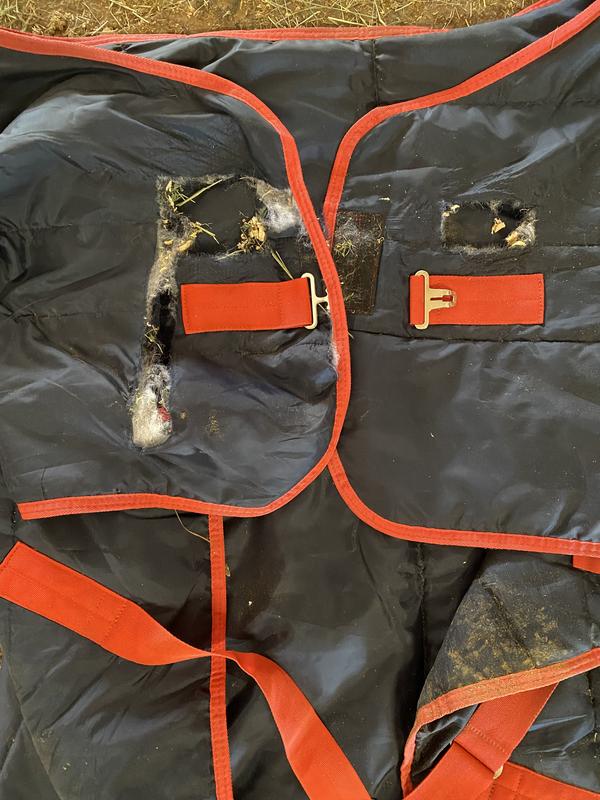 Horseware Mio Insulator Heavy Stable Rug 300g main image 0