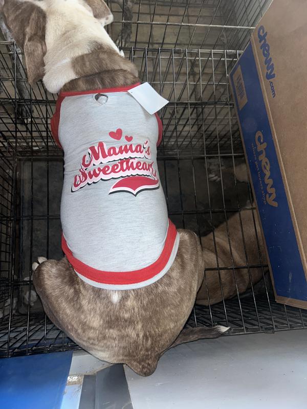 Frisco King of Cool Dog & Cat T-Shirt