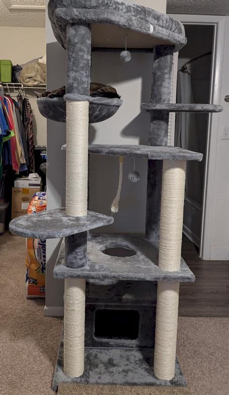 Fully assembled with my boy snoring in the hammock