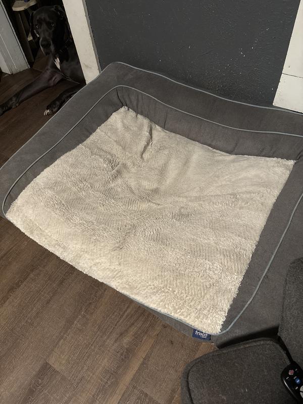 He’d rather lay on the floor!