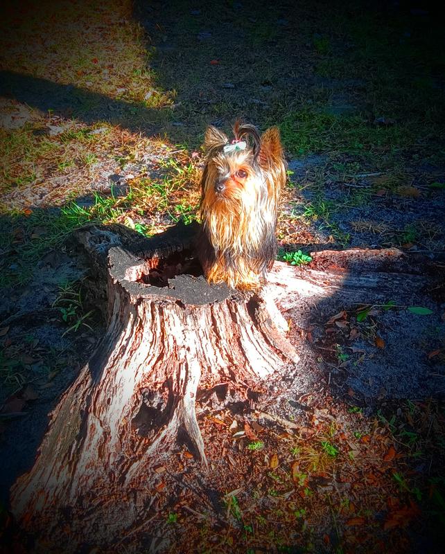 Gucci lookin' out for Squirrels