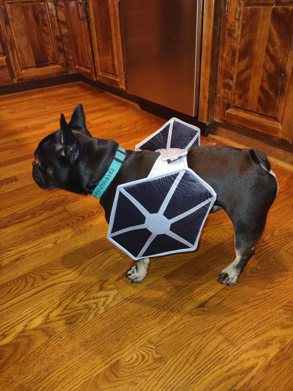 Dog tie shop fighter