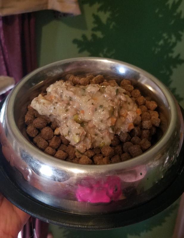 The same pouch added on top of a cup of kibble.
