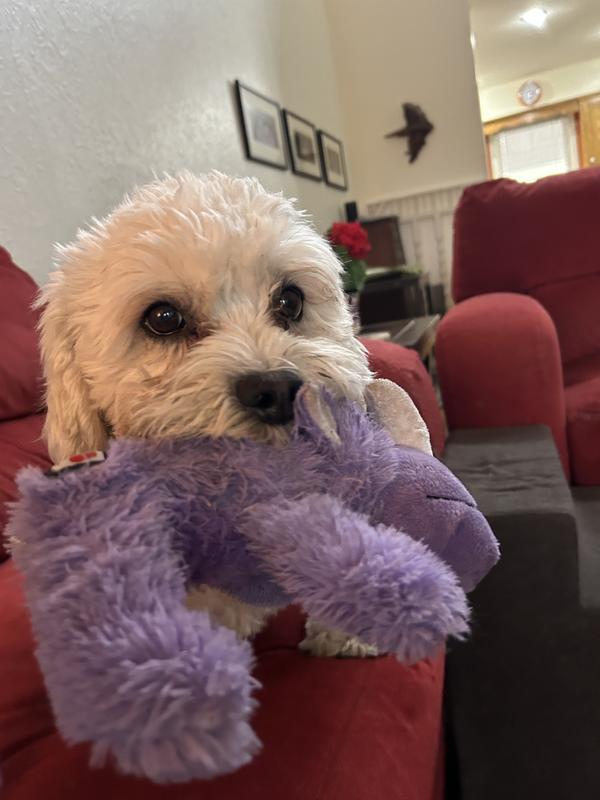 Maisie with Rhonda Rhino