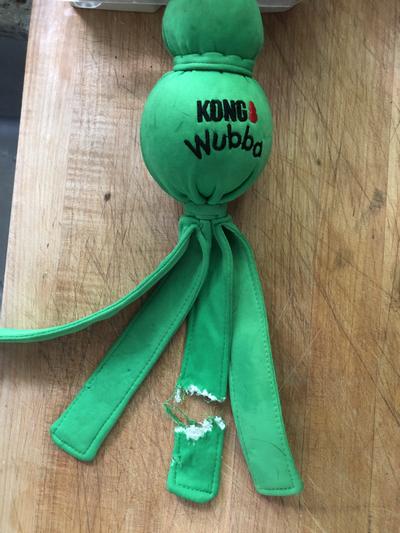 Kong Wubba Wet Extra Large - Fuzzy Buttz Pet Supply