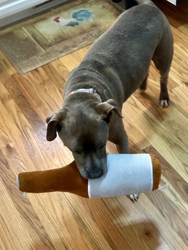 Big plush toy for 55 lb dog!