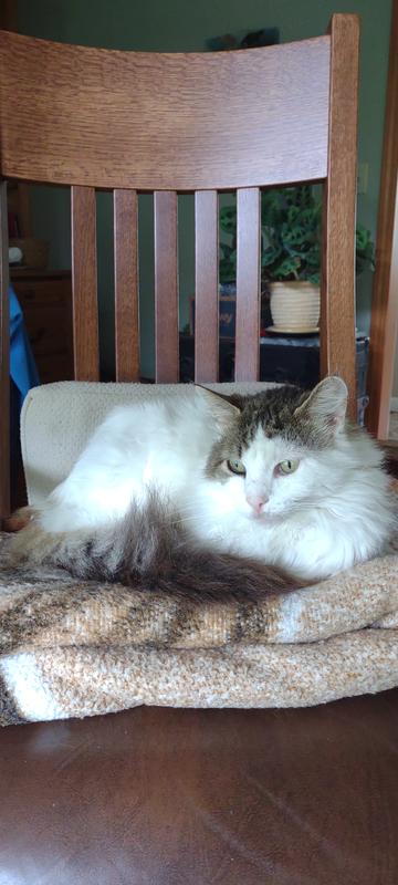 This is my boy Jack.