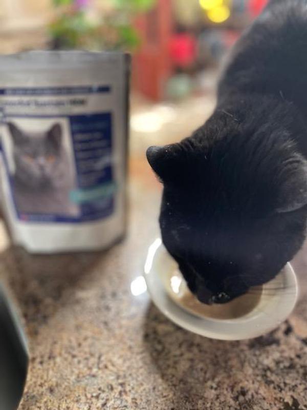 Yea, it's eating time