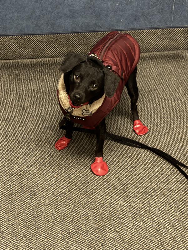 My little Sid be Stylin’!