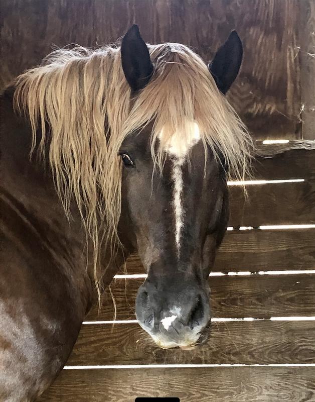 Ricky feeling much better now