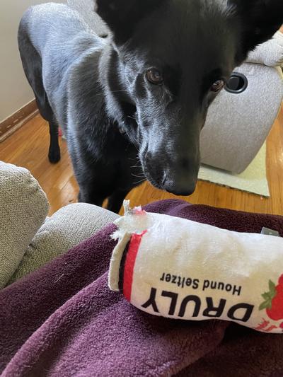 Guilty (but happy!) suspect