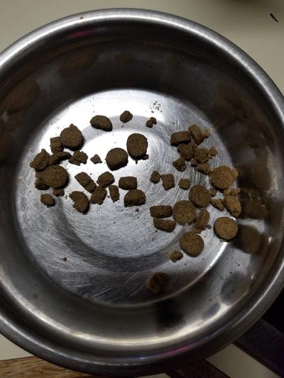 Broken kibble pieces. This is the top of the bag. .