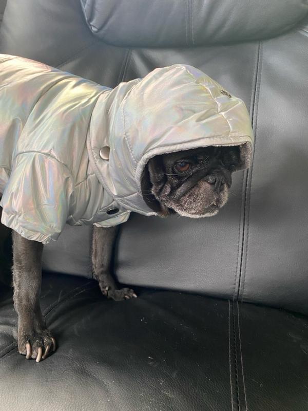 Frisco Metallic Copper Dog & Cat Puffer Jacket