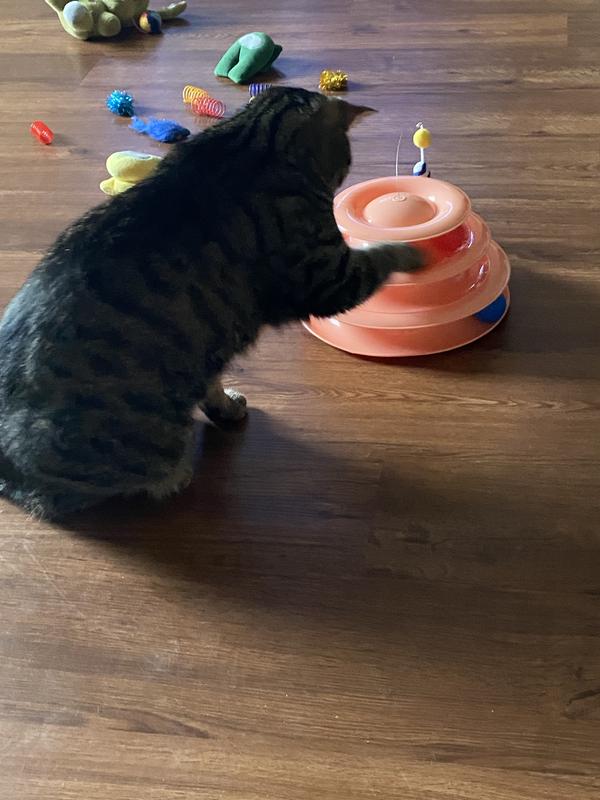 The birthday boy with his new toy