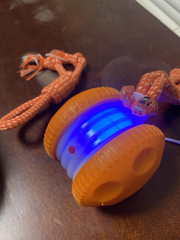 Comes with 2 rope ties, and the charge cable