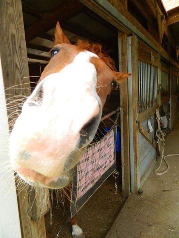 She knows treats are incoming!