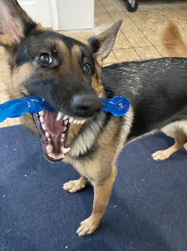 thumbnail image 2 of KONG Safestix MEDIUM 20'' Blue Durable Tug & Fetch Dog Toy For Large Dogs 2 of 2
