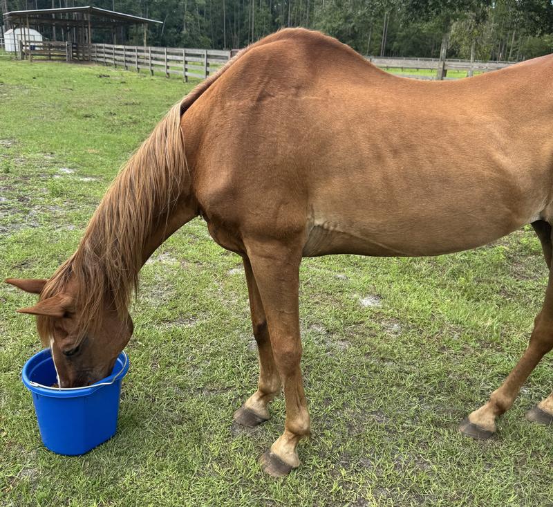 Lady covering up those ribs!